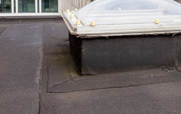 disadvantages of Pwllypant flat roofs