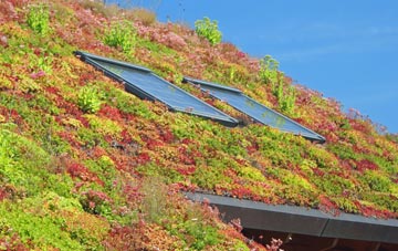 Pwllypant living roof systems