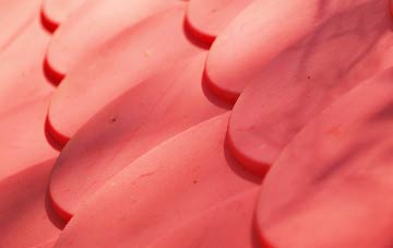 Pwllypant plastic roof costs